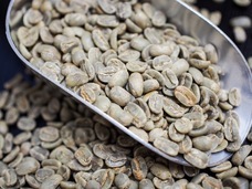 株式会社リグロのプレスリリース画像2