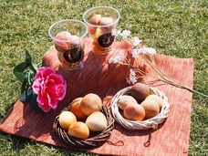 株式会社リグロのプレスリリース画像2