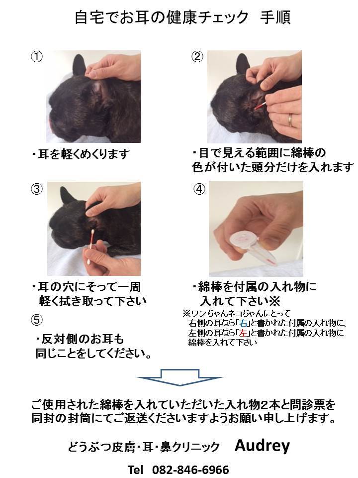 株式会社ベットワークのプレスリリース画像1