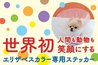 株式会社ベットワークのプレスリリース