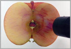 株式会社SO-KENのプレスリリース画像9