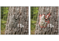 株式会社SO-KENのプレスリリース画像5