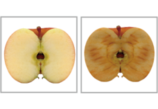 株式会社SO-KENのプレスリリース画像8