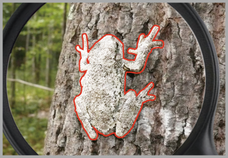 株式会社SO-KENのプレスリリース画像6