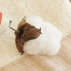 メイド・イン・アース／株式会社チーム・オースリーのプレスリリース画像4