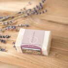 メイド・イン・アース／株式会社チーム・オースリーのプレスリリース画像1