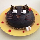 井上商事株式会社のプレスリリース画像2