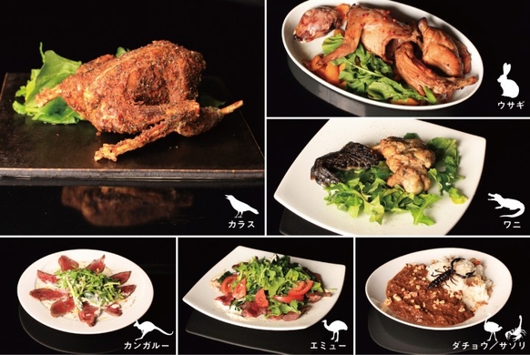 カラス ワニ カンガルー エミュー 兎 駝鳥 蠍 7種の珍食材を食べ比べ 新宿三丁目の肉バル パンとサーカス が新しいコースを提案 亜細亜tokyoworld株式会社 のプレスリリース カラス ワニ カンガルー エミュー 兎 駝鳥 蠍 7種の珍食材を食べ比べ 新宿三丁目の肉バル パンとサーカス が新しいコースを提案 亜細亜tokyoworld株式会社 のプレスリリース