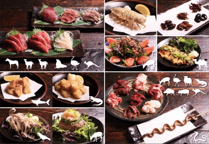 今年は珍食材で忘年会 マムシ オオグソクムシ カラス トド 猪 鹿 ワニ ラクダ 昆虫 高田馬場ジビエ居酒屋 米とサーカス が提案 最大12種の食べくらべコース 株式会社 亜細亜tokyoworldのプレスリリース 今年は珍食材で忘年会 マムシ オオグソクムシ カラス トド 猪 鹿 ワニ ラクダ 昆虫 高田馬場ジビエ居酒屋 米とサーカス が提案 最大12種の食べくらべコース 株式会社 亜細亜tokyoworldのプレスリリース