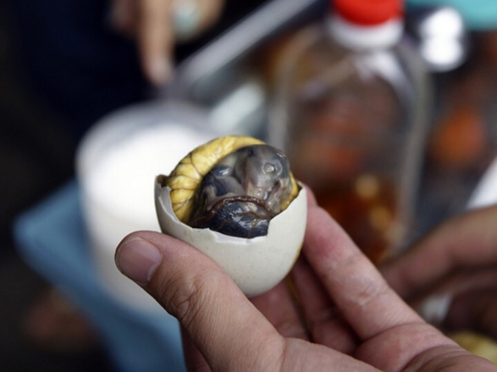 亜細亜TokyoWorld株式会社 のプレスリリース画像3