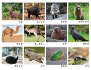 亜細亜TokyoWorld株式会社 のプレスリリース画像7