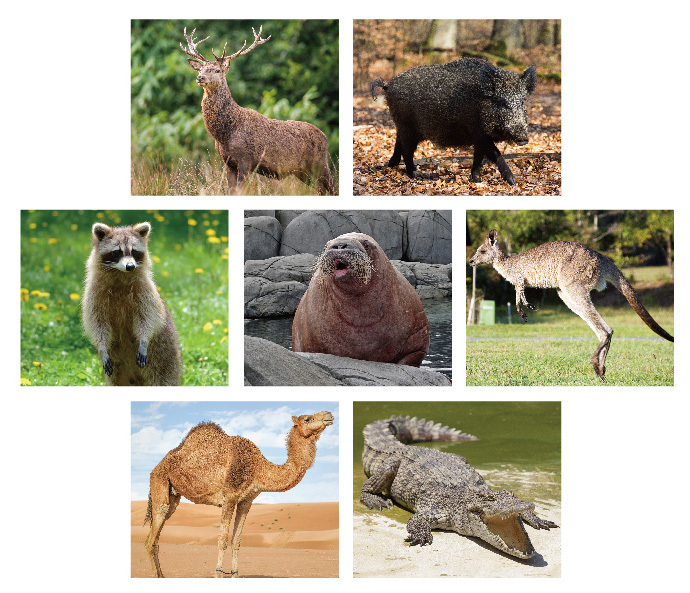 亜細亜TokyoWorld株式会社 のプレスリリース画像2