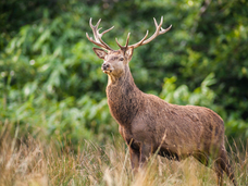 亜細亜TokyoWorld株式会社 のプレスリリース画像3