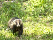 亜細亜TokyoWorld株式会社 のプレスリリース画像10