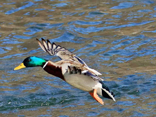 亜細亜TokyoWorld株式会社 のプレスリリース画像6