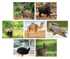 亜細亜TokyoWorld株式会社 のプレスリリース画像4