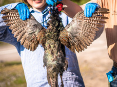 亜細亜TokyoWorld株式会社 のプレスリリース画像7