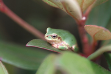 亜細亜TokyoWorld株式会社 のプレスリリース画像2