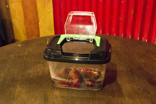 亜細亜TokyoWorld株式会社 のプレスリリース画像5