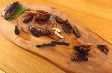 亜細亜TokyoWorld株式会社 のプレスリリース画像7