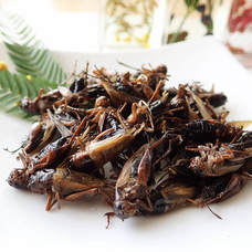 亜細亜TokyoWorld株式会社 のプレスリリース画像7