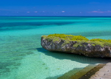 亜細亜TokyoWorld株式会社 のプレスリリース画像10