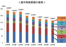 亜細亜TokyoWorld株式会社 のプレスリリース画像10