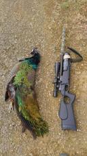 亜細亜TokyoWorld株式会社 のプレスリリース画像9