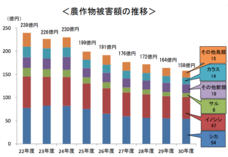 亜細亜TokyoWorld株式会社 のプレスリリース画像10