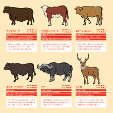 亜細亜TokyoWorld株式会社 のプレスリリース画像3