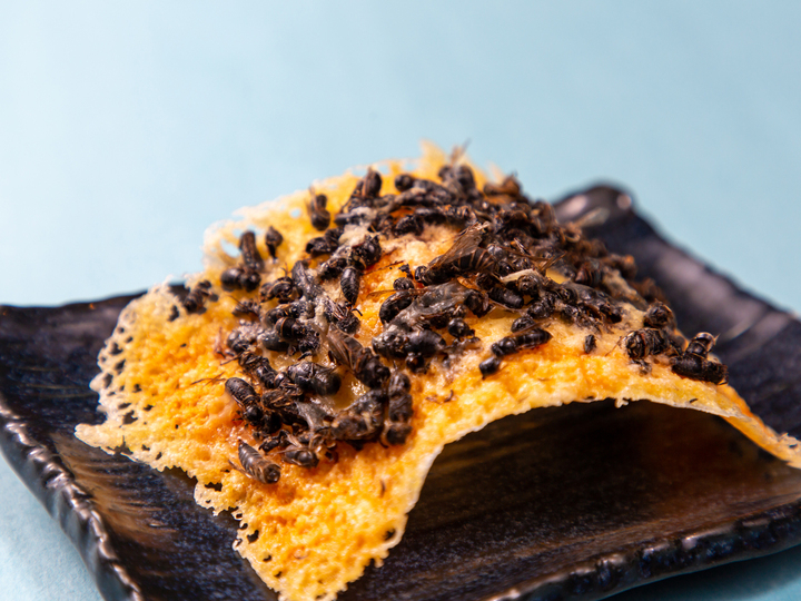 ジビエ居酒屋 米とサーカス で7回目となる 昆虫食フェア 7 19より開催決定 Youtube昆虫料理番組 バグズクッキング とコラボし 9種のメニューを提供 株式会社 亜細亜tokyoworldのプレスリリース ジビエ居酒屋 米とサーカス で7回目となる 昆虫食フェア 7 19より開催決定 Youtube昆虫料理番組 バグズクッキング とコラボし 9種のメニューを提供 株式会社 亜細亜tokyoworldのプレスリリース