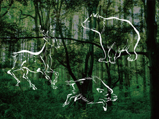 亜細亜TokyoWorld株式会社 のプレスリリース画像5