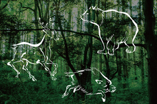 亜細亜TokyoWorld株式会社 のプレスリリース画像6