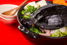 亜細亜TokyoWorld株式会社 のプレスリリース画像3