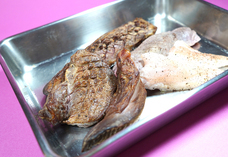 亜細亜TokyoWorld株式会社 のプレスリリース画像4