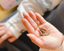 亜細亜TokyoWorld株式会社 のプレスリリース画像2