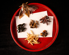 亜細亜TokyoWorld株式会社 のプレスリリース画像3