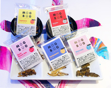 亜細亜TokyoWorld株式会社 のプレスリリース画像6