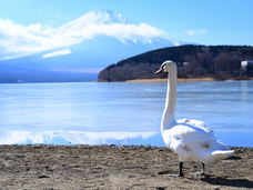 亜細亜TokyoWorld株式会社 のプレスリリース画像8