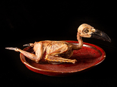 亜細亜TokyoWorld株式会社 のプレスリリース画像4