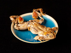 亜細亜TokyoWorld株式会社 のプレスリリース画像5