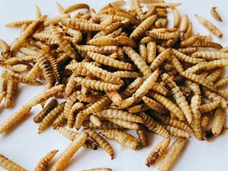 亜細亜TokyoWorld株式会社 のプレスリリース画像6