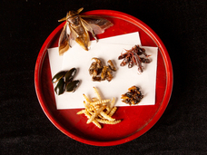 亜細亜TokyoWorld株式会社 のプレスリリース画像2