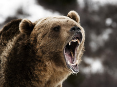 亜細亜TokyoWorld株式会社 のプレスリリース画像5