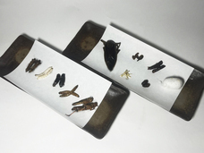 亜細亜TokyoWorld株式会社 のプレスリリース画像2