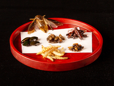 亜細亜TokyoWorld株式会社 のプレスリリース画像7