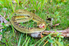 亜細亜TokyoWorld株式会社 のプレスリリース画像8