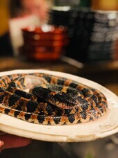 亜細亜TokyoWorld株式会社 のプレスリリース画像12