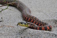 亜細亜TokyoWorld株式会社 のプレスリリース画像10