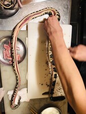 亜細亜TokyoWorld株式会社 のプレスリリース画像13